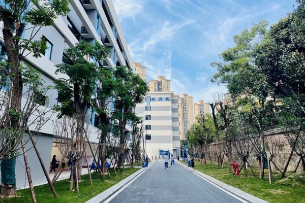 湖南中职生必看！3+2 和升学班怎么选？一文读懂