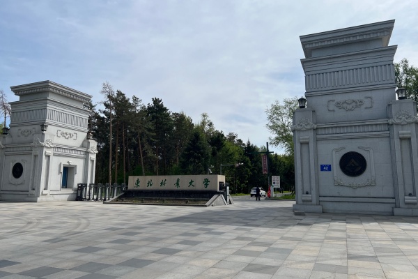东北林业大学是985还是211